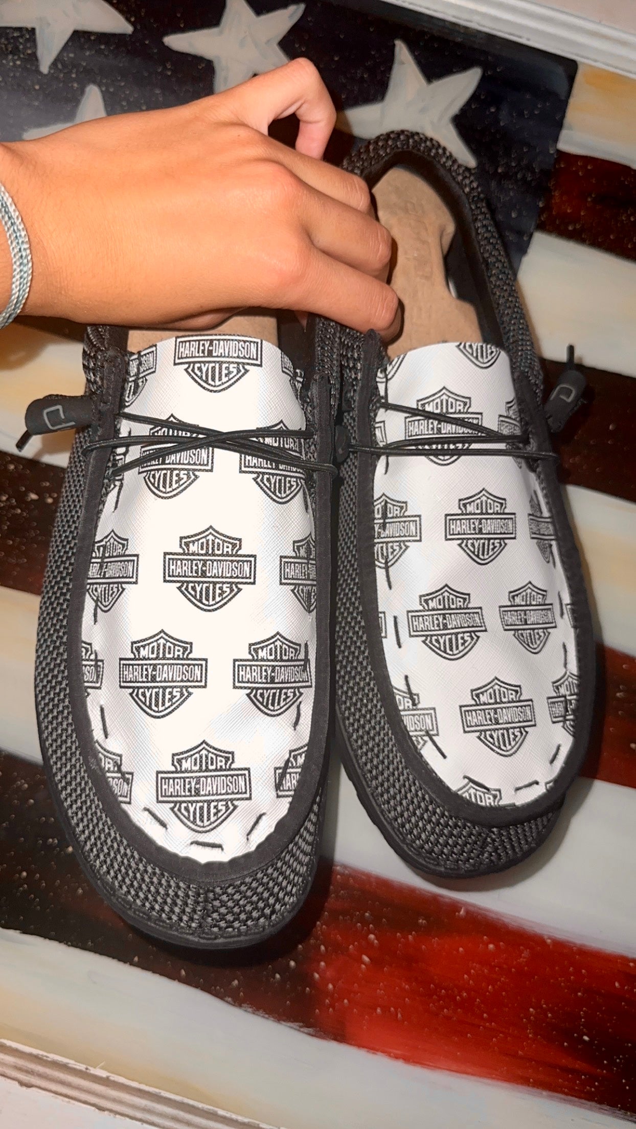 HD Custom Dude Shoes FREE SHIP image 1