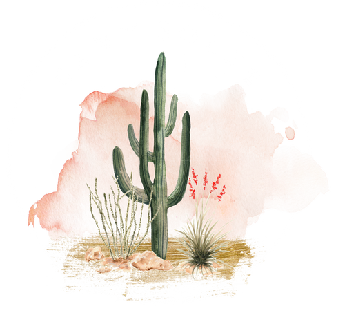 Savy Soles Co