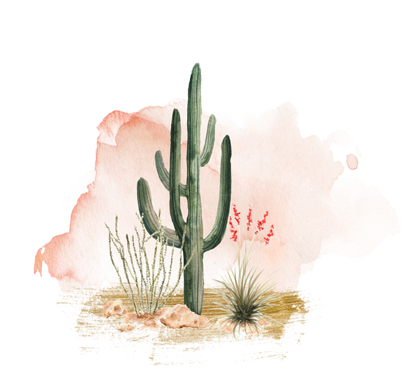Savy Soles Co